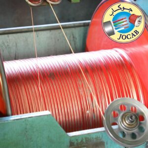 WhatsApp Image 2021-01-31 at 11.30.57 AM (2)