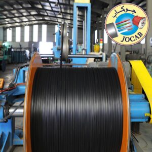 WhatsApp Image 2021-01-31 at 11.30.57 AM