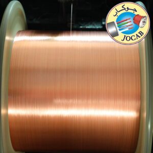 WhatsApp Image 2021-01-31 at 11.30.57 AM (4)